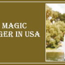 Black Magic Astrologer in New Mexico