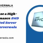 Purchase a High-Performance AMD Dedicated Server from Serverwala