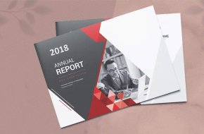 Professional Annual Report Printing Services in India – Get a Quote Now!