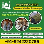 Best Astrologer Contact Number +91_92422_20786 Online Amil Baba IN USA/UK/UAE Italy