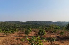 Rare Opportunity – Land for Sale in Goa