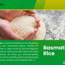Top 10 Basmati Rice Manufacturers in India – Shree Krishna Exports