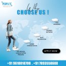 Dream Big, Study Smart: Discover the Top Overseas Education Consultants in Hyderabad