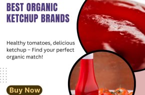 Discover the Best Organic Ketchup Brands for Healthier Meals