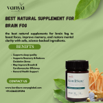 Best natural supplement for brain fog – Think Clear, Live Sharp