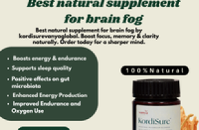 Best Natural Supplement for Brain Fog — Restore Focus Naturally: