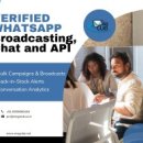 Streamlining Success: A Comprehensive Guide to the WhatsApp Business API Onboarding Process and Timeline
