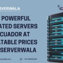 Buy Powerful Dedicated Servers in Ecuador at Unbeatable Prices From Serverwala