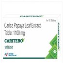 Caritero – Carica Papaya Leaf Extract Tablets for Immunity, Health Benefits of Papaya Leaf