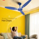 Best Ceiling Fan Manufacturers in India