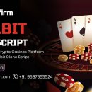 How White Label Rollbit Clone Software Supports Cross-Platform Casinos
