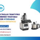 Electrolux TrinityPro Combined Vegetable Slicer Hyderabad