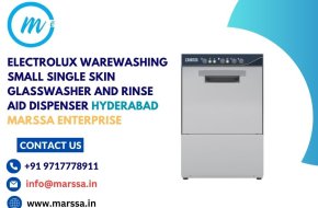 Electrolux Warewashing Small Single Skin Glasswasher and rinse aid dispenser Hyderabad