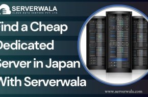 Find a Cheap Dedicated Server in Japan With Serverwala