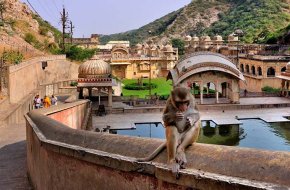 Galtaji Temple in Jaipur, (Rajasthan Devdarshan)