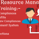 Best HR Training Course in Delhi, 110009 with Free SAP HCM HR Certification  by SLA Consultants Institute in Delhi, NCR, HR  Analytics Certification [100% Placement, Learn New Skill of 2026] “New Year Offer 2026”, get CTS HR Payroll Professional Training,