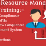 Best HR Training Course in Delhi, 110009 with Free SAP HCM HR Certification  by SLA Consultants Institute in Delhi, NCR, HR  Analytics Certification [100% Placement, Learn New Skill of 2026] “New Year Offer 2026”, get CTS HR Payroll Professional Training,
