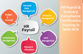 Advanced HR Institute in Delhi, 110039, with Free SAP HCM HR Certification  by SLA Consultants Institute in Delhi, NCR, HR Analyst Certification [100% Placement, Learn New Skill of 2025] “New Year Offer 2025”, get L&T HR Payroll Professional Training,