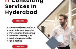 IT Consulting Services In Hyderabad | Conquerors Technology   |  +91-7013196804