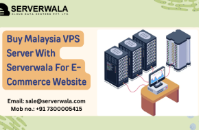 Buy Malaysia VPS Server With Serverwala For E-Commerce Website