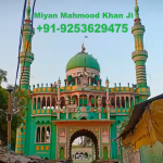 Powerful Muslim Astrologer ((+91-9253629475)) Love Problem Solution By Molvi Baba Ji