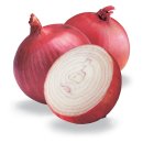 Onion Extract Manufacturers and Suppliers in India