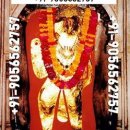 Online Love Vashikaran Marriage Problem Solution By Baba Ji +91-9056562757