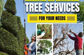 Residential and Commercial Tree Services in Hyderabad | NHN Trees Cutting