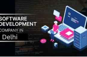 Affordable Software Development in Delhi – Your Digital Growth Partner