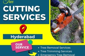 Tree Cutting Services in Hyderabad – NHN Tree Cutting Services