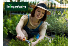 Mowing Services Melbourne – I love gardening