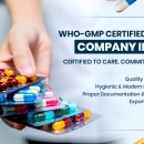 Best WHO-GMP Certified Pharma Company in India – Grecian