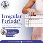 Supporting Women with Expert Gynecology Care