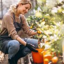 Lawn Mowing Maintenance Melbourne & Lawn Mowing Melbourne Near Me – I love gardening
