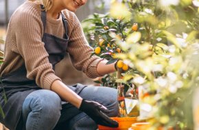 Lawn Mowing Maintenance Melbourne & Lawn Mowing Melbourne Near Me – I love gardening