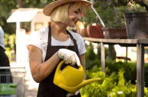 Lawn mowing services hoppers crossing near me cost & Cheap Grass Cutting Service Near Me – I love gardening