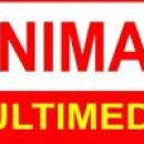 Web designing course in coimbatore – Animax Multimedia