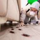 Best Pest Control Services in Hyderabad – AJL Pest Control