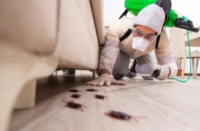 Best Pest Control Services in Hyderabad – AJL Pest Control