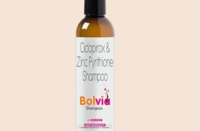 buy best hair products for curly hair In India