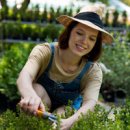 Cheap Grass Cutting Service Near | Lawn Mowers Hoppers Crossing – I love gardening
