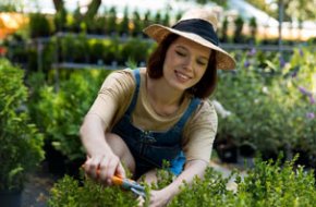 Cheap Grass Cutting Service Near | Lawn Mowers Hoppers Crossing – I love gardening