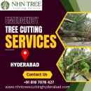 Tree Cutting Services in Hyderabad – NHN Trees Cutting