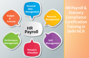 HR Training Institute in Delhi, 110024, With Free SAP HCM HR Certification  by SLA Consultants Institute in Delhi, NCR, HR Analyst Certification [100% Placement, Learn New Skill of ’24] September Offer 2024, get TCS HR Payroll Professional Training,