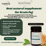 Best Natural Supplement for Brain Fog – Regain Mental Clarity Naturally