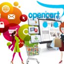 Reliable Opencart Development Services in Delhi – Call Today!