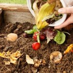 sewage treatment plant & organic waste composter by dcs techno